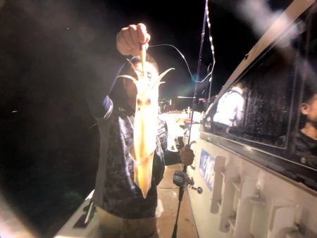 オーシャンズ　京都 釣果