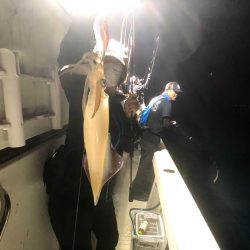 オーシャンズ　京都 釣果