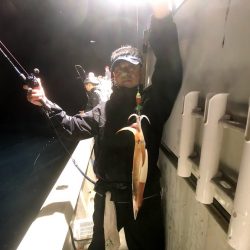 オーシャンズ　京都 釣果