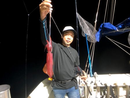 オーシャンズ　京都 釣果