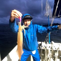 オーシャンズ　京都 釣果