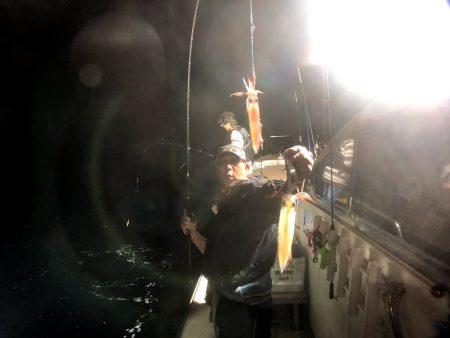 オーシャンズ　京都 釣果