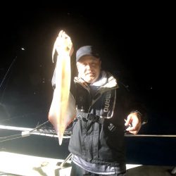 オーシャンズ　京都 釣果