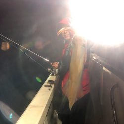 オーシャンズ　京都 釣果