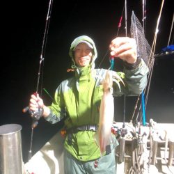 オーシャンズ　京都 釣果