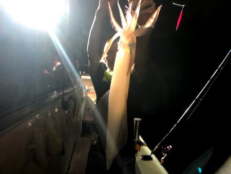 オーシャンズ　京都 釣果