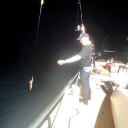 オーシャンズ　京都 釣果