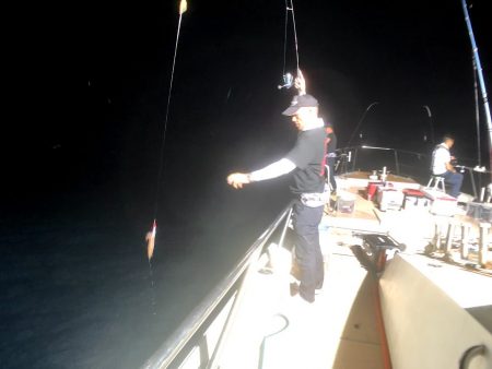 オーシャンズ　京都 釣果