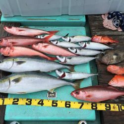 三吉丸 釣果