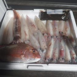 Aquanaut(アクアノート) 釣果