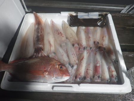 Aquanaut(アクアノート) 釣果