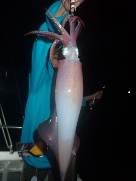 Aquanaut(アクアノート) 釣果