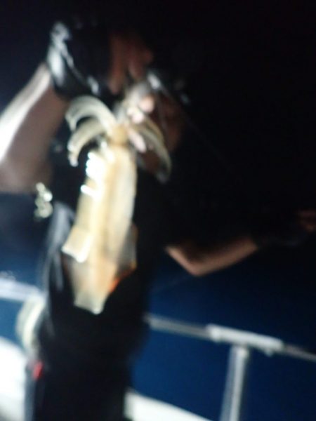 Aquanaut（アクアノート） 釣果