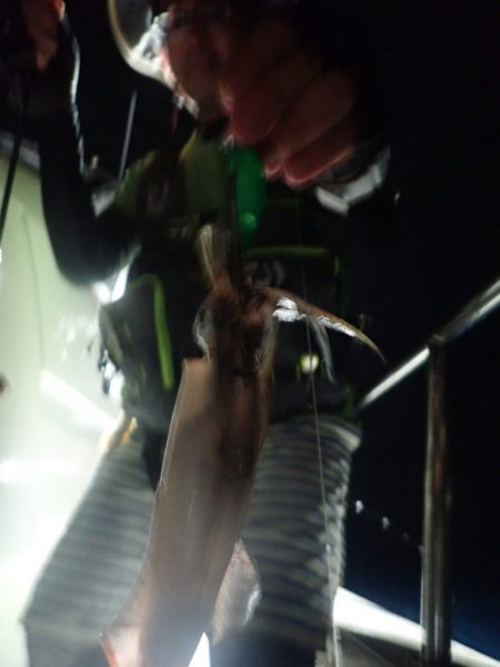 Aquanaut(アクアノート) 釣果