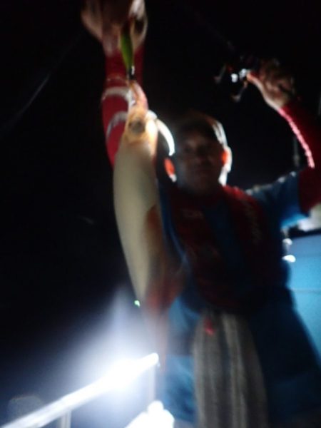 Aquanaut(アクアノート) 釣果