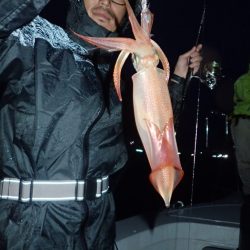 Aquanaut(アクアノート) 釣果