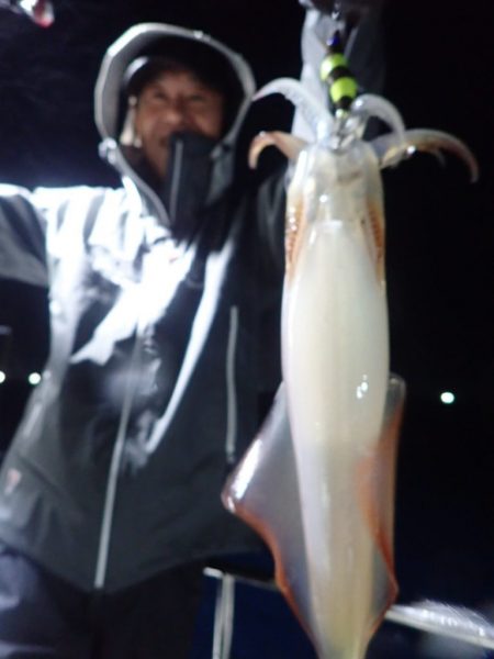 Aquanaut(アクアノート) 釣果