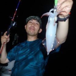 Aquanaut(アクアノート) 釣果