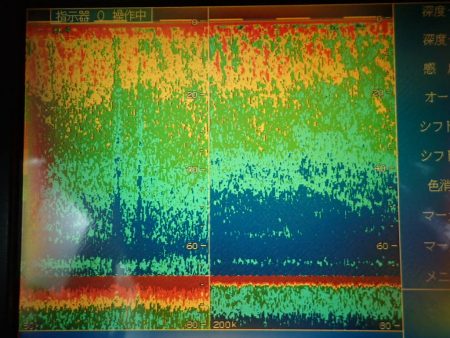 Aquanaut(アクアノート) 釣果