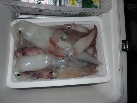 Aquanaut(アクアノート) 釣果