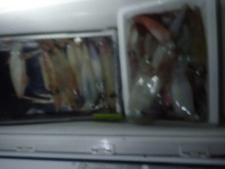 Aquanaut(アクアノート) 釣果