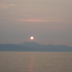 Aquanaut（アクアノート） 釣果