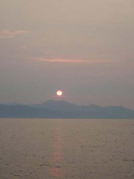 Aquanaut（アクアノート） 釣果