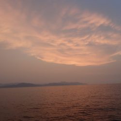 Aquanaut（アクアノート） 釣果