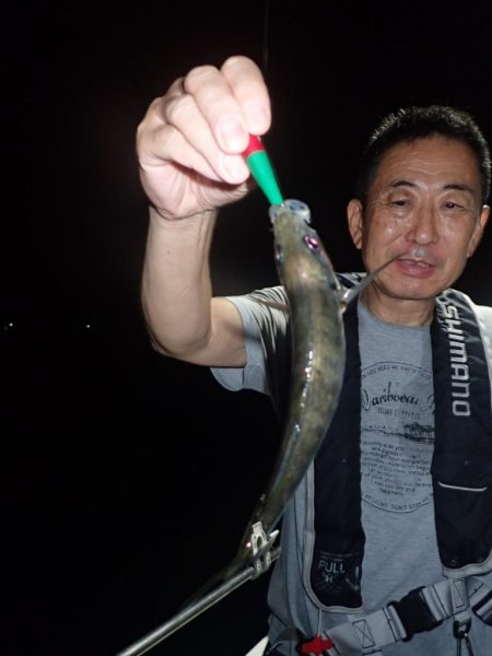 Aquanaut（アクアノート） 釣果