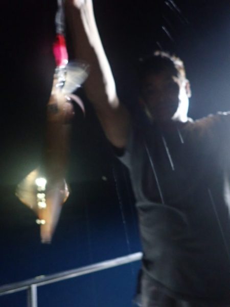 Aquanaut（アクアノート） 釣果