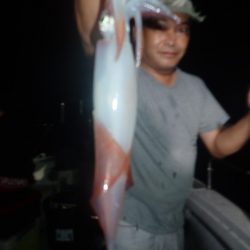 Aquanaut（アクアノート） 釣果