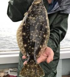 さぶろう丸 釣果