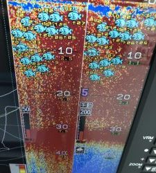 さぶろう丸 釣果