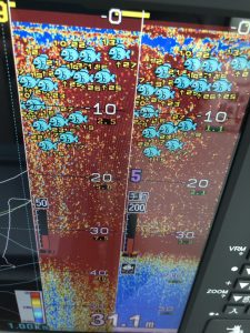 さぶろう丸 釣果