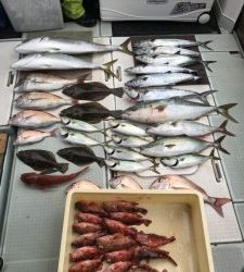 さぶろう丸 釣果