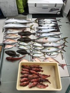 さぶろう丸 釣果