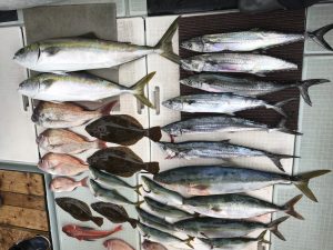 さぶろう丸 釣果