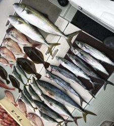 さぶろう丸 釣果