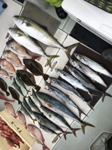 さぶろう丸 釣果