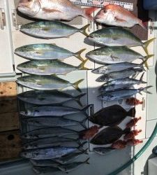 さぶろう丸 釣果