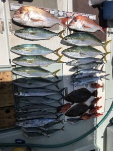 さぶろう丸 釣果