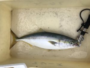 さぶろう丸 釣果