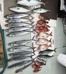 さぶろう丸 釣果