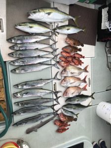 さぶろう丸 釣果