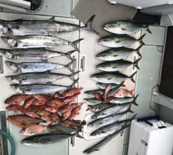 さぶろう丸 釣果