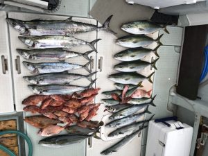 さぶろう丸 釣果