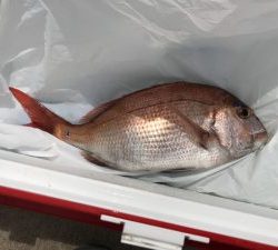 さぶろう丸 釣果