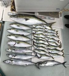 さぶろう丸 釣果