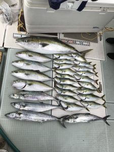 さぶろう丸 釣果