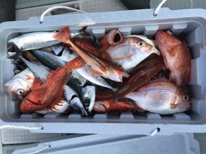 さぶろう丸 釣果